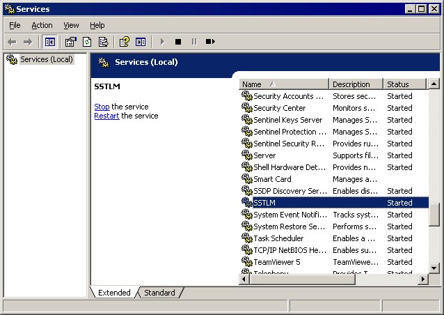 caepipe sstlm troubleshooting windows services window with SSTLM selected