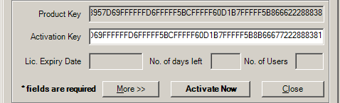 Client software SSTLM product/activation key dialog window cropped image