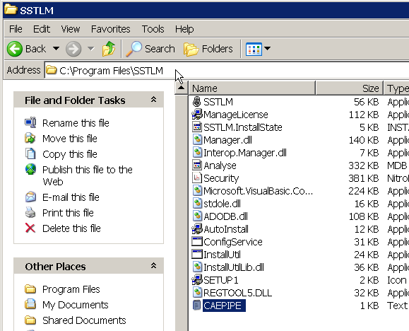 SSTLM delete license log file