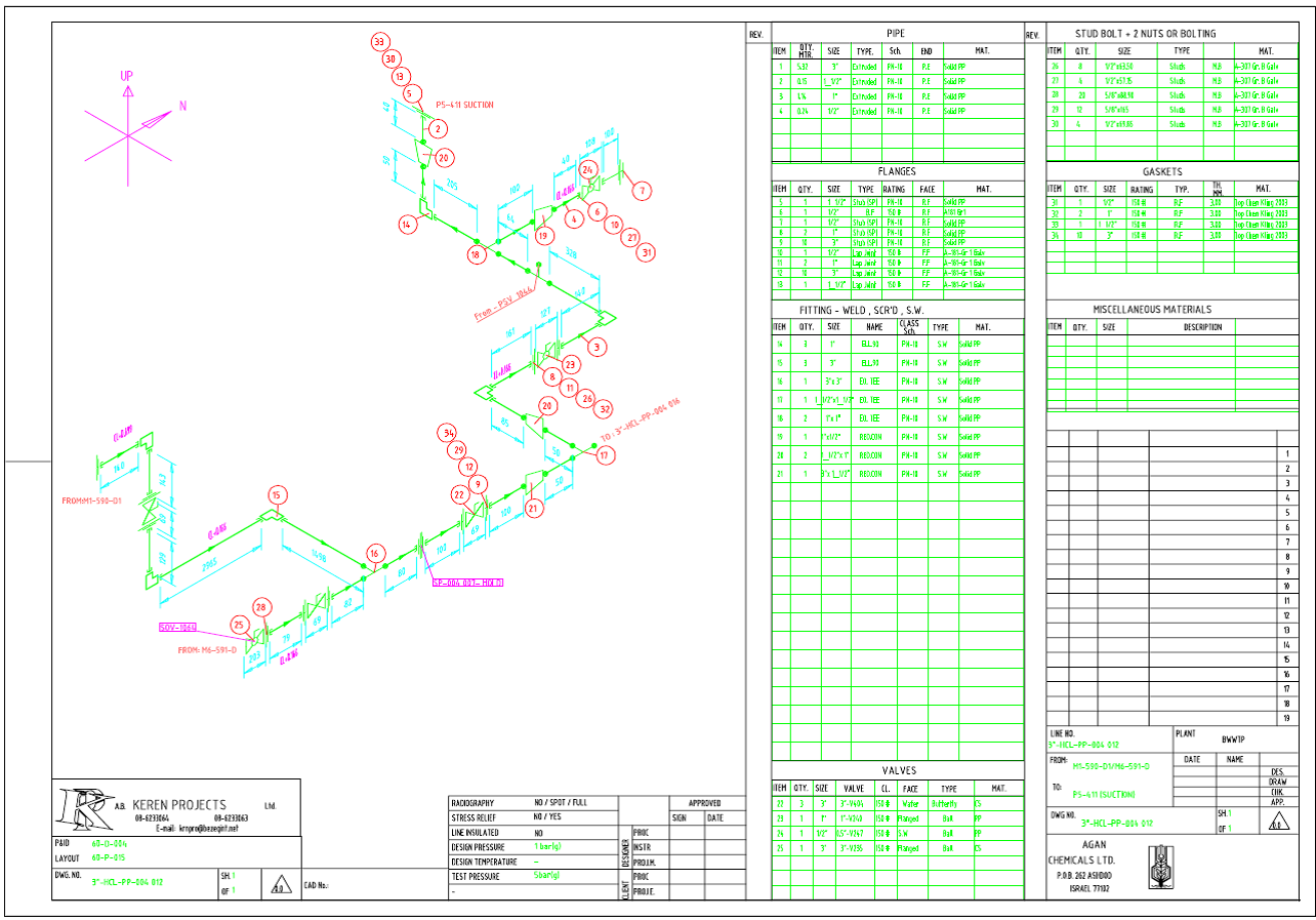 Customized Isometric with BOM generated using 3D Plant Design software